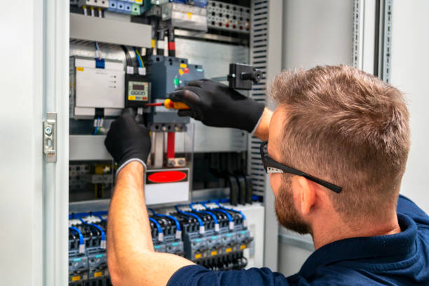 Best Electrical Rewiring Services  in Hector, MN