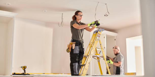Best Electric Panel Repair  in Hector, MN