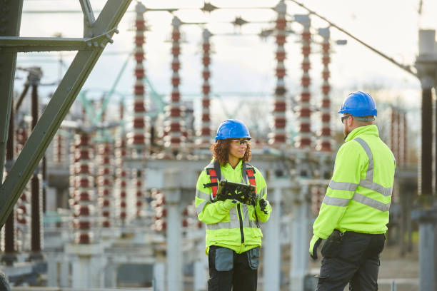Generator Installation Services in Hector, MN