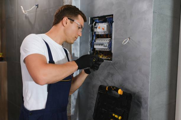 Best Electrical Contractors for Businesses  in Hector, MN