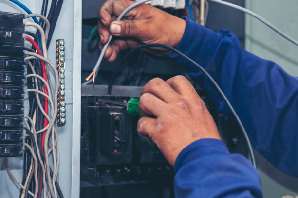 Best Electrical Troubleshooting Services  in Hector, MN